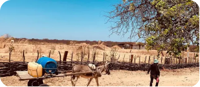 Transporte de água no Sertão nordestino